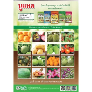 [1kg] นูแทค ซุปเปอร์-เอ็น ส่งเสริมการแตกยอด เพิ่มขนาดใบ ขยายขนาดผล- ขนาดบรรจุ 1 กิโลกรัม