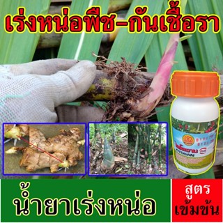 กระตุ้นการแตกตา น้ำยาเร่งหน่อ กันเชื่อรา กระตุ้นการแตกหน่อ ย…