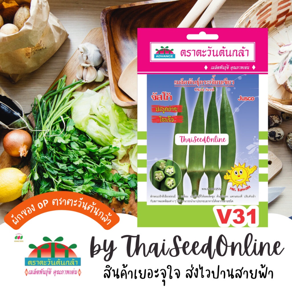 Advance Seeds(ตราตะวันต้นกล้า) ADVOP ซฟ เมล็ดพันธุ์ กระเจี๊ยบเขียว จัสโก้ ประมาณ 25 เมล็ด ตราตะวันต้นกล้า V31