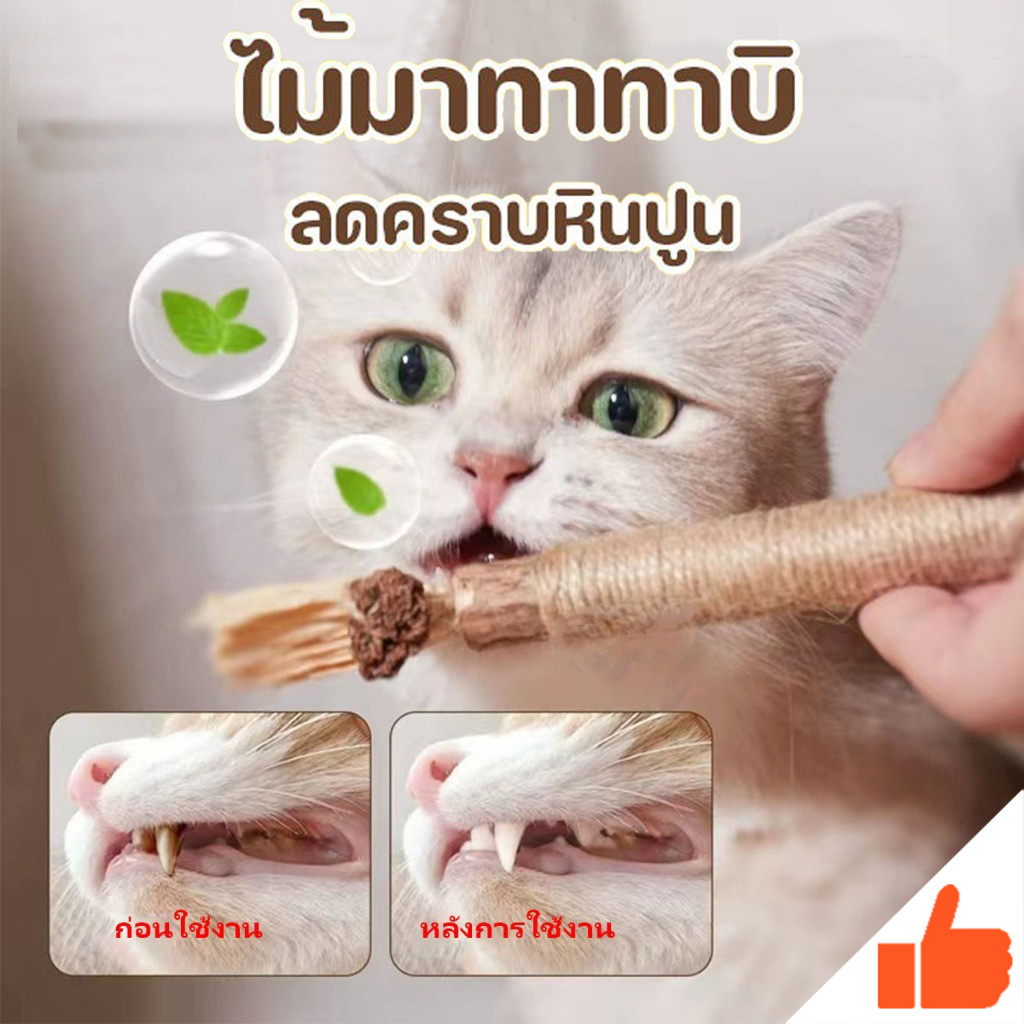 ไม้มาทาทาบิ ขัดฟันแมว แบบเชือก ไม้ขัดฟันแมว ของเล่นแมว ลดคราบหินปูน สําหรับสัตว์เลี้ยง แมว