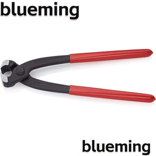 Blueming2 คีมหนีบหู โลหะผสมเหล็ก 9 นิ้ว สีแดง