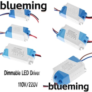 Blueming2 ไดรเวอร์ LED หรี่แสงได้ 300mA 3-15W 1 ชิ้น