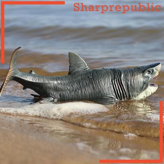 [Sharprepublic] โมเดลฟิกเกอร์ รูปปลาฉลาม Megalodon ขนาดเล็ก