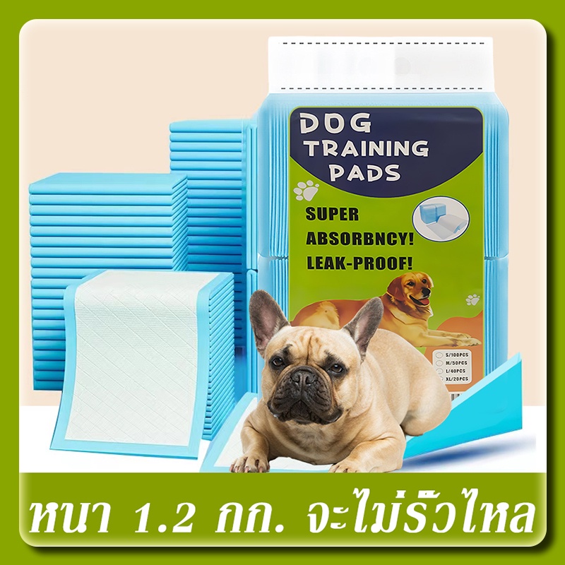 【พร้อมส่ง】Dog Training Pads แผ่นรองฉี่สุนัข ต่อต้านแบคทีเรีย ซึมซับไดีดี ผ้ารองฉี่ ถาดรองฉี่สุนัข แผ่นรองฉี่แมว ทรายแมว