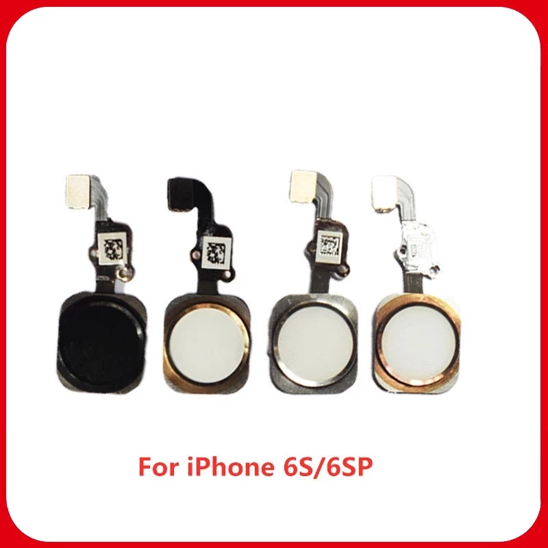 ปุ่มโฮม แบบยืดหยุ่น พร้อมสายแพ สําหรับ iPhone 6 6s 7 8 Plus 5s SE 5C 5G thumbnail 5