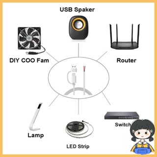 Bang สายเคเบิลพิกเทล USB C 2 แกน Type C ตัวผู้ เป็น 2Pin 5V 2A DIY