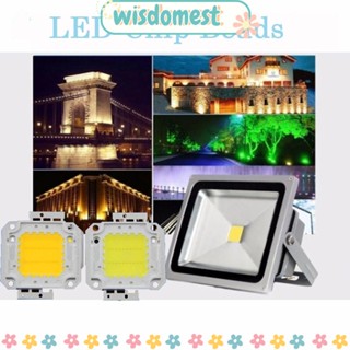 Wisdomest ชิปหลอดไฟ LED พลังงานสูง 10W 20W 30W 50W 100W สีขาวอบอุ่น