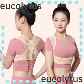 Eucalytus1 สายรัดคอ ปรับท่าทางได้