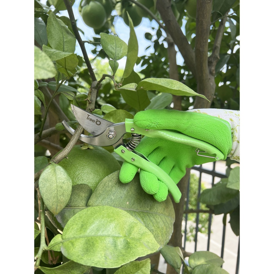 GlobalHouse Tree O กรรไกรตัดกิ่ง รุ่นGP2110 ขนาด8นิ้ว สีเขียว สินค้าของแท้คุณภาพดี