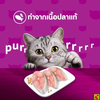 วิสกัส เพาซ์ จูเนียร์ อาหารลูกแมวชนิดเปียก รสปลาทูน่า/ปลาทู 80 ก. แพ็ค 12
