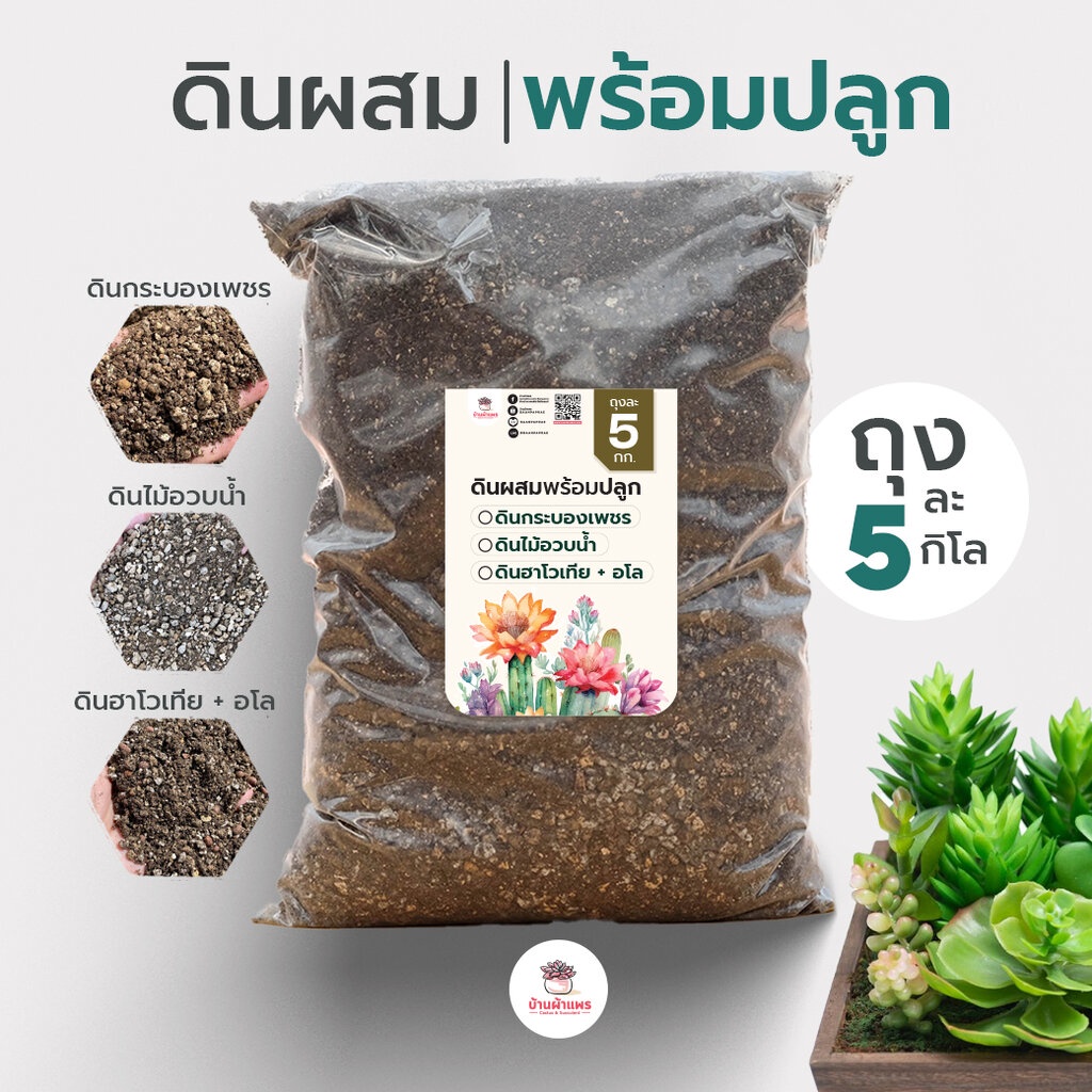 ถุงละ 5 กก. ดินผสมพร้อมปลูกไม้อวบน้ำ กุหลาบหิน กระบองเพชร Cactus&Succulent