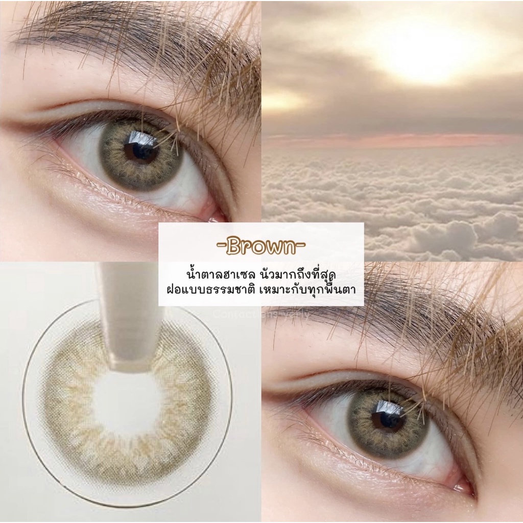 คอนแทคเลนส์(มินิ) Dna Chestnut / Gray (Wink) ⭐️ลายฮิต ขายดีมาก กรองแสงกันยูวี - รูปที่ 2