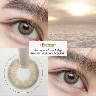 คอนแทคเลนส์(มินิ) Dna Chestnut / Gray (Wink) ⭐️ลายฮิต ขายดีมาก กรองแสงกันยูวี