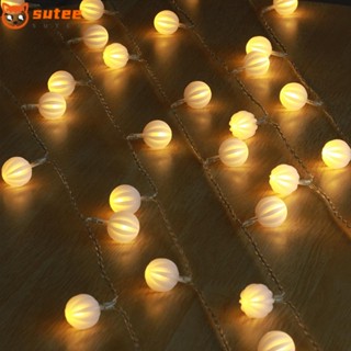 Sutee สายไฟหิ่งห้อย LED 40 ดวง 16.4 ฟุต ใช้แบตเตอรี่ กันน้ํา สีขาวอบอุ่น พร้อมรีโมตควบคุมแบตเตอรี่ สําหรับตกแต่ง