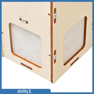 [Dolity1] ชุดทดลองวิทยาศาสตร์ แบบไม้ ทนทาน DIY สําหรับเด็กผู้ชาย และเด็กผู้หญิง