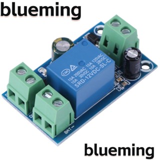 Blueming2 โมดูลสวิตช์ไฟอัตโนมัติ DC 5V-48V DC 10A แบบพกพา สีเขียว 2 ชิ้น ‎โมดูลแบตเตอรี่ลิเธียม พลาสติก สีฟ้า สําหรับช่างไฟฟ้า