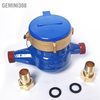 Gemini308 DN15 โรเตอร์ประเภท Tap Water Flow Meter แห้งเย็น Outlet มิเตอร์น้ำสำหรับครัวเรือนเหล็ก Shell