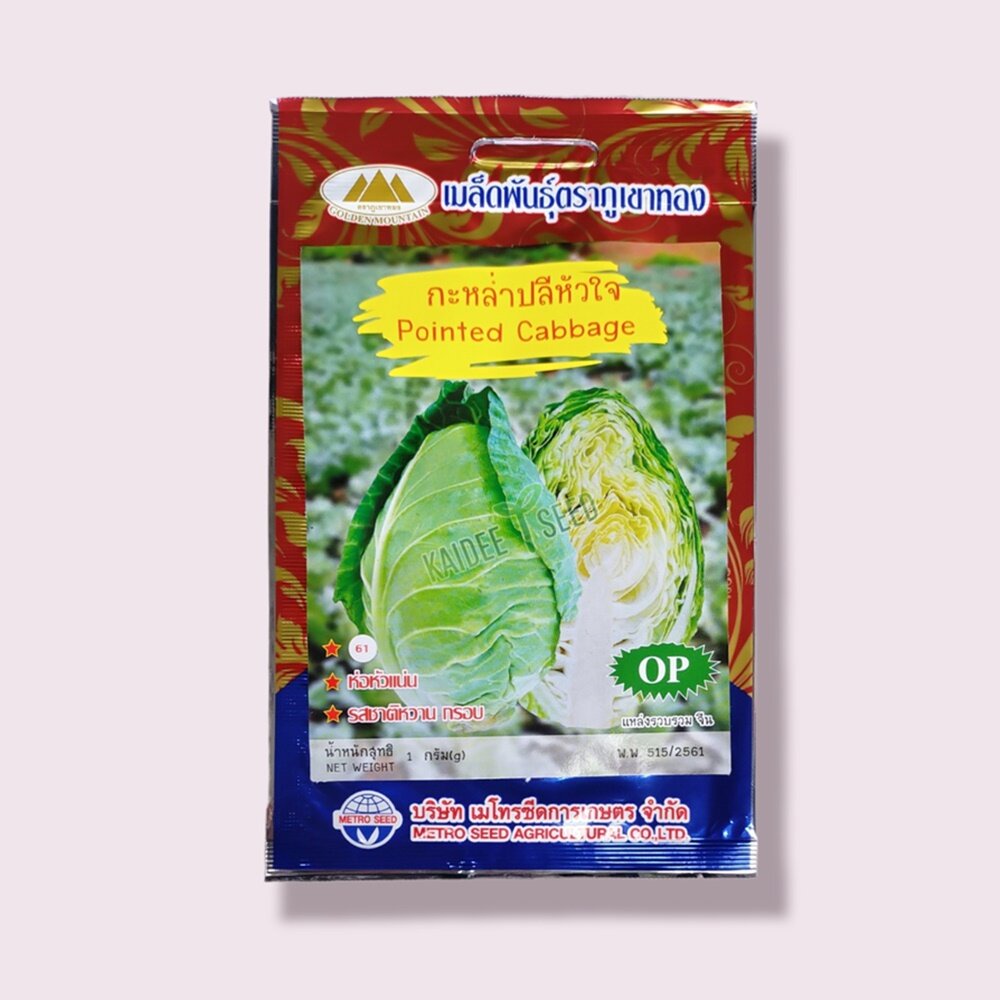 เมล็ดกะหล่ำปลีหัวใจ Pointed Cabbage MT/OP-061 เมล็ดพันธุ์ เมล็ดผักสวนครัว เมล็ดพันธุ์ลูกผสม เมล็ดผัก