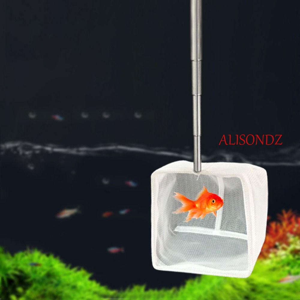 Alisondz ตาข่ายปลา ปลาทอง ด้ามจับยาว ตาข่ายสเตนเลส ทรงกลม / สี่เหลี่ยม ตาข่ายกุ้ง พิพิธภัณฑ์สัตว์น้ํา