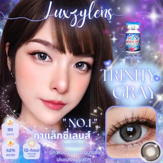 🔥คอนแทคเลนส์ 💗ขนาดกลาง💗 Trinity (Luxzylens) สี : Brown / Gra…