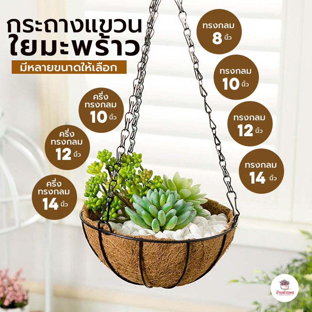 กระถางแขวนใยมะพร้าว กระเช้าห้อยตกแต่งสวน แคคตัส กระบองเพชร ไม้อวบน้ำ Cactus&Succulent