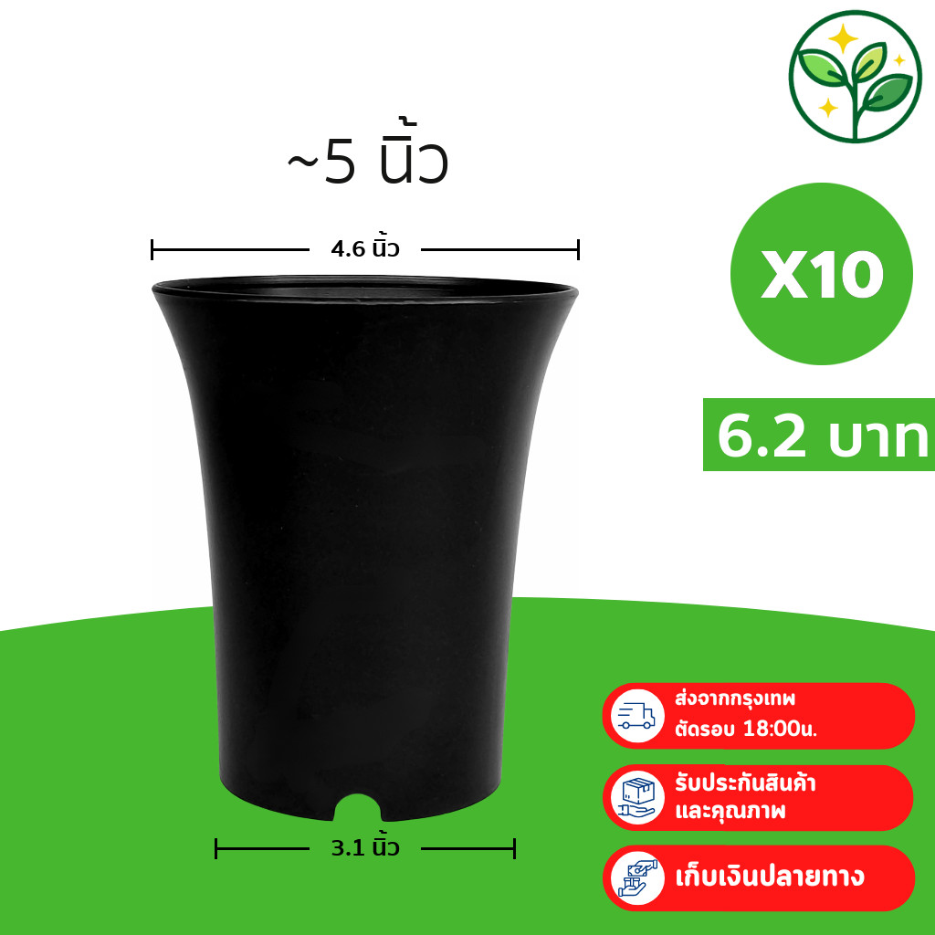 กระถาง กระถางแคคตัส กระถางปากแตร 4.5 นิ้ว สีดำ 10 ใบ ชิ้น อัน