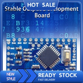 Dl บอร์ดวงจรไมโครคอนโทรลเลอร์ โปรแกรมมิ่งง่าย ขนาดเล็ก Atmega168 Avr พร้อมอินเตอร์เฟส Uart 16mhz สําหรับตะวันออกเฉียงใต้