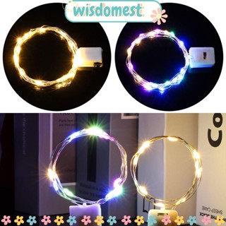 WISDOMEST สายไฟ LED สําหรับตกแต่งปาร์ตี้คริสต์มาส ปีใหม่