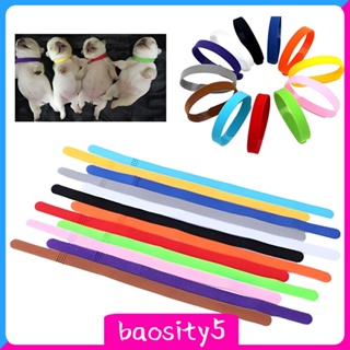 [Baosity5] ปลอกคอ ID 20 ซม. สําหรับสัตว์เลี้ยง สุนัข ชินชิล่า 12 ชิ้น