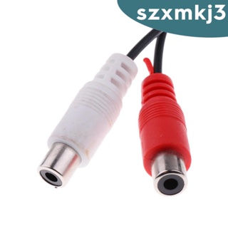 [Szxmkj3] อุปกรณ์กรองเสียงสเตอริโอ RCA 12V 2 ช่องทาง สําหรับรถยนต์ บ้าน