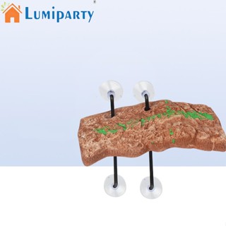 Lumiparty แพลตฟอร์มบาสเก็ตบอลเต่า พร้อมจุกสุญญากาศ 4 ชิ้น อุปกรณ์เสริม สําหรับปีนเขา ตู้ปลา