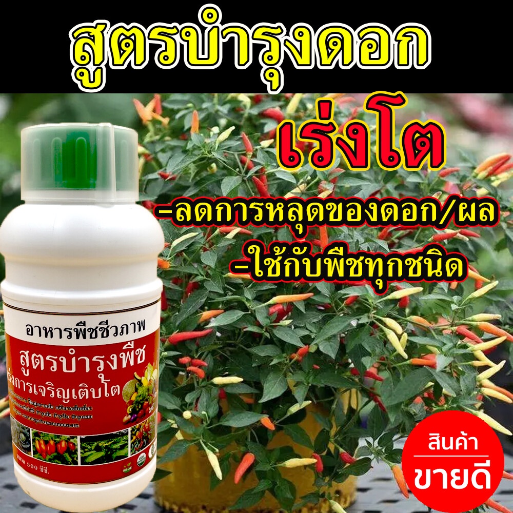 ปุ๋ยใส่พริกดก ขั่วเหนียว 500 ซีซี ยาพริกใบหงิก ปุ๋ยพริกดก ปุ๋ยพริก ติดผลดก ขั้วเหนียว ลดการหลุดร่วง ยาฮอร์โมนเร่งดก