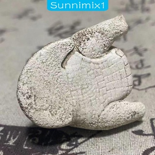 [Sunnimix1] ฟิกเกอร์รูปปั้นจระเข้จิ๋ว สําหรับตกแต่งบ้าน