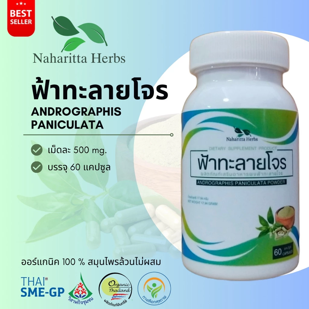 ฟ้าทะลายโจร Andrographis paniculata 100% 60cap. ส่งไว คุณภาพดี