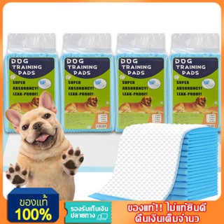 แผ่นรองฉี่สุนัข กำจัดกลิ่น ซึมซับไดีดี ผ้ารองฉี่สุนัข แผ่นรอ…