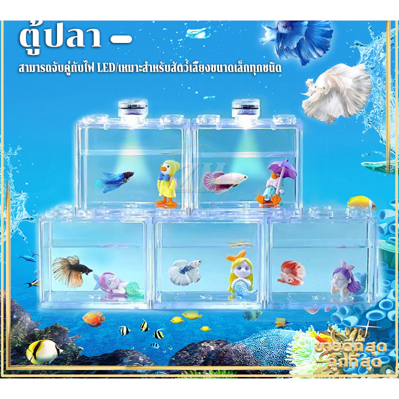 ตู้ปลาเลโก้ DIY ขนาดเล็ก ตู้ปลากัด จับคู่ไฟ LED ได้ thumbnail 4
