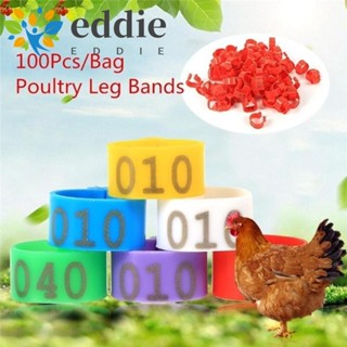 26edie แหวนรัดขา เส้นผ่าศูนย์กลาง 16 มม. 6 สี สําหรับฟาร์มไก่ เป็ด