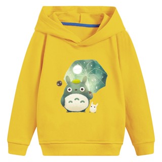 เสื้อกันหนาว มีฮู้ด ลายการ์ตูนอนิเมะ My Neighbor Totoro น่ารัก สําหรับเด็กผู้ชาย และเด็กผู้หญิง