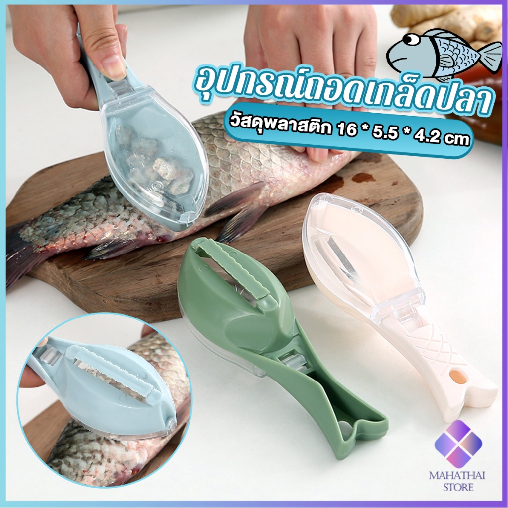 Mahathai ที่ขอดเกล็ดปลา มีกล่องเก็บเกล็ดปลาไม่ให้เลอะ อุปกรณ์ครัว Fish scale scraper