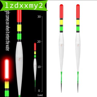 [Lzdxxmy2] ทุ่นลอยน้ํา LED เรืองแสง สําหรับตกปลาคาร์พ 2 ชิ้น