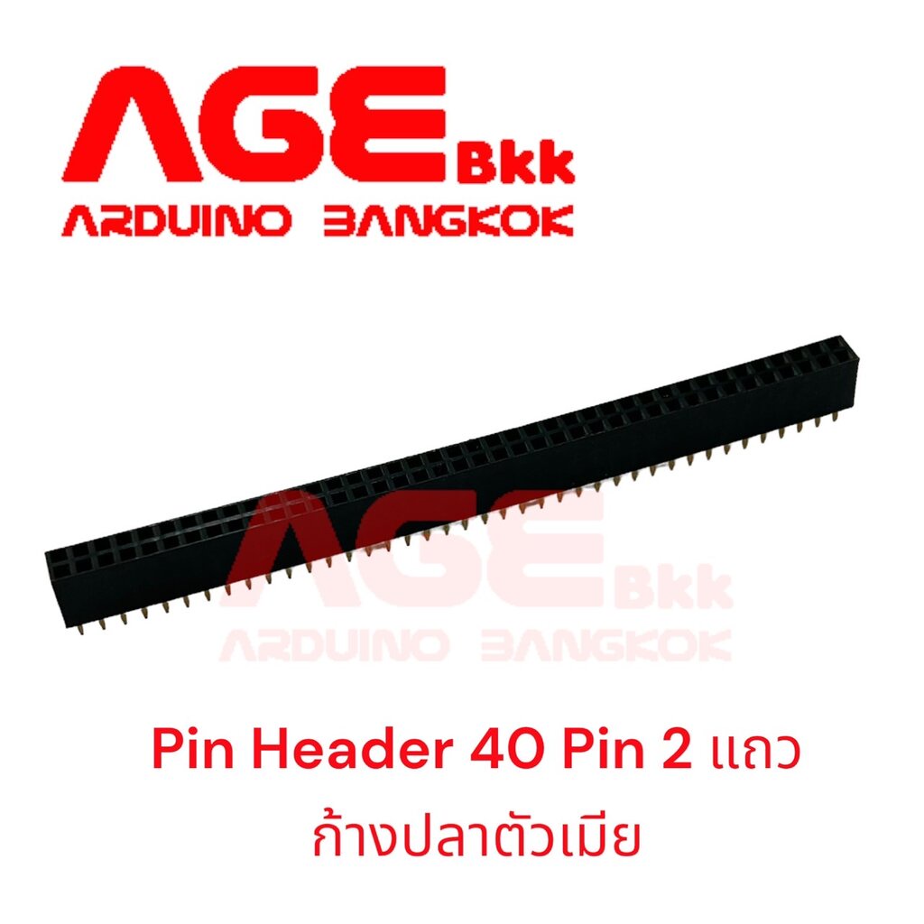 Female Pin Header Connector 40 Pin (40PinX2Row), Pitch 2.54mm Female ก้างปลาตัวเมีย