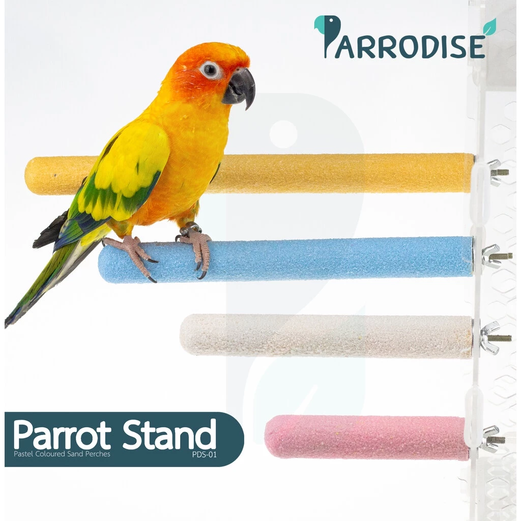 Parrodise PDS-01 คอนลับเล็บ คอนยืนนกแก้ว คอนนกแก้ว คอนลับเล็บนก คอนลับเล็บชูก้า กระรอก สีพาสเทล