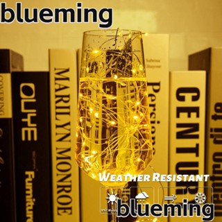 Blueming2 สายไฟหิ่งห้อย LED 200 ดวง 66 ฟุต 8 โหมด ปลั๊ก USB สีขาวอบอุ่น พร้อมรีโมตคอนโทรล และตัวจับเวลา กันน้ํา สําหรับตกแต่งปาร์ตี้ 2 แพ็ก