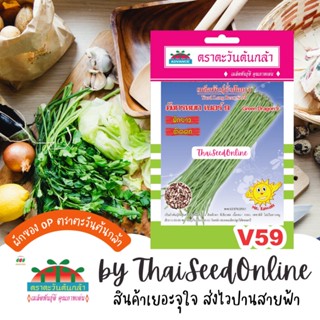 ADV ซฟ เมล็ดพันธุ์ ถั่วฝักยาว มังกรหยก เบอร์ 9 ตราตะวันต้นกล้า V59