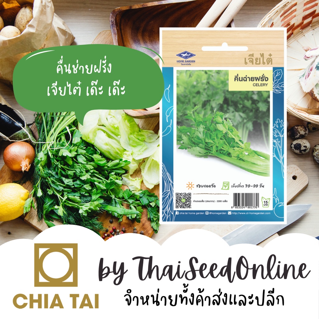 เจียไต๋ CTOP เมล็ดพันธุ์ ขึ้นช่ายฝรั่ง คื่นช่ายยักษ์ คื่นช่ายฝรั่ง เซลารี่ Celery 2200 เมล็ด ตราเจียไต๋ เซเลอรี่ Celery