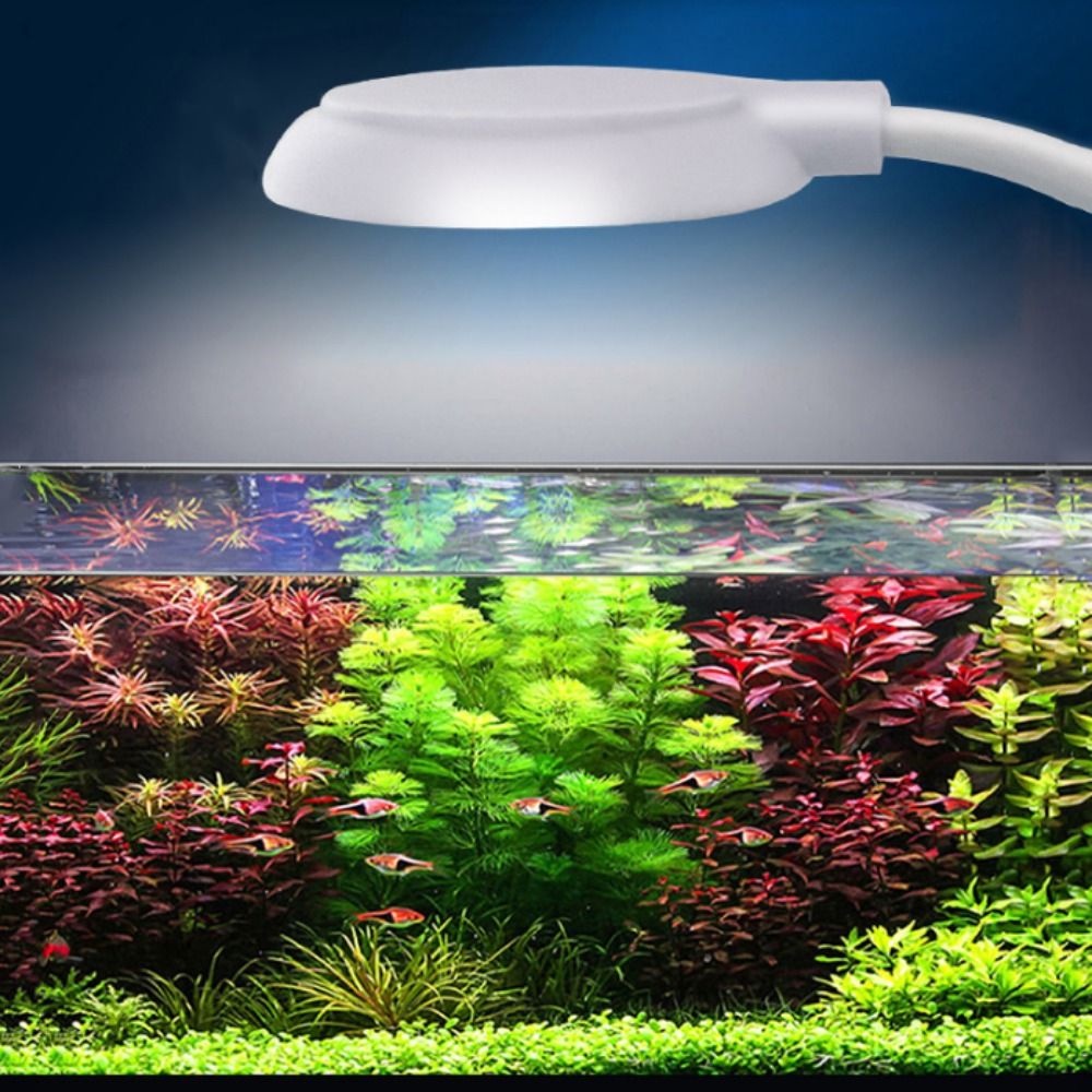 Willis โคมไฟ LED 360 ดวง พลาสติก USB สําหรับปลูกพืช ตู้ปลา ° โคมไฟหมุนได้ 5W กันน้ํา แบบคลิปหนีบ สําหรับติดตู้ปลา