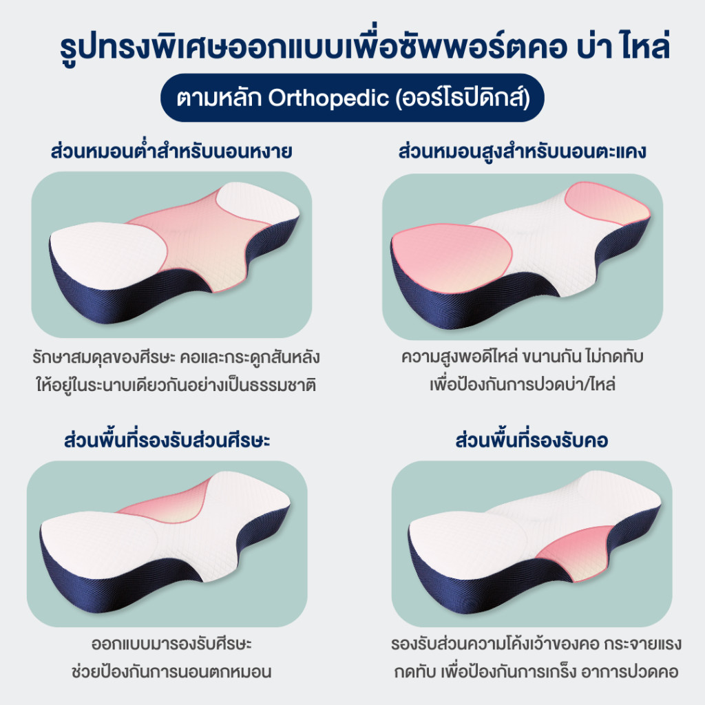 หลับสนิท (ส่งฟรี) KAGUYA หมอนสุขภาพ Ortho เมมโมรี่โฟม ลดปวดคอ นอนสบายทุกท่านอน