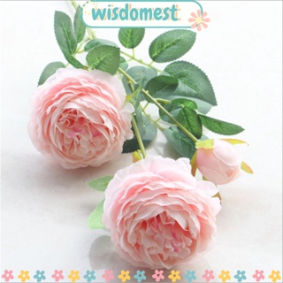 Wisdomest ช่อดอกโบตั๋นประดิษฐ์ ผ้าไหม ขนาดเล็ก 5 ดอก สําหรับตกแต่งบ้าน ปาร์ตี้