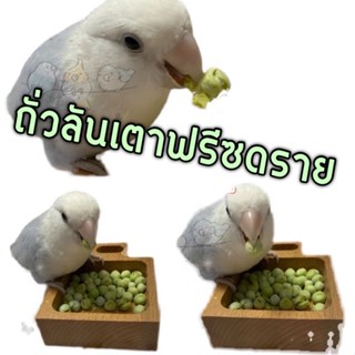 Freeze Dried Peas ถั่วลันเตาฟรีซดราย ขนมนก กรอบ นกกัดง่าย โดยเฉพาะนกขนาดเล็ก ขนมนกแก้ว อาหารนก