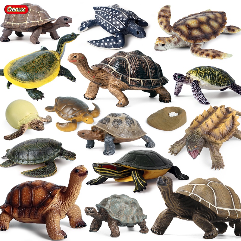 Oenux Sea Life Animals Model Ocean Turtle Tortoise Leatherback Growth Cycle Action Figures Home Deco